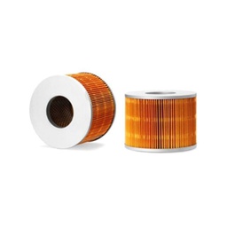 Fleetguard Air Filter AF25567